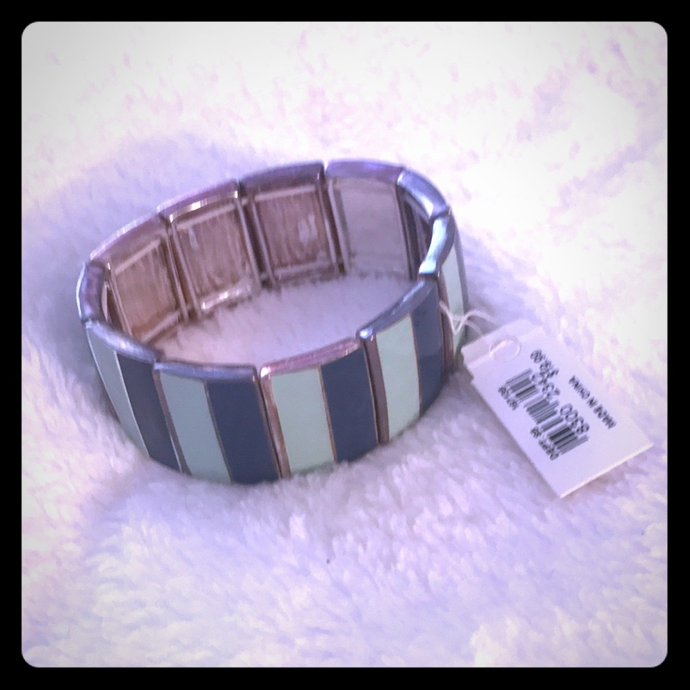 Dark & Light Blue Enamel and Silver Edge Bracelet